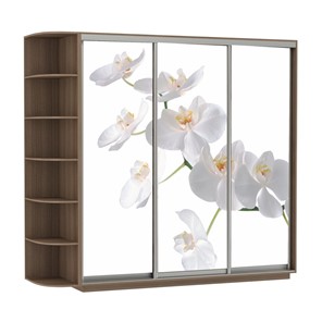 Шкаф 3-х створчатый Экспресс со стеллажом, 2100х600х2200, Орхидея белая/шимо темный в Рязани