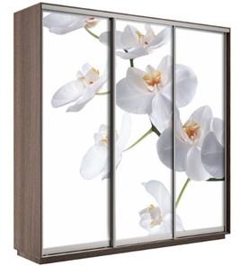 Шкаф 3-створчатый Экспресс 1800х600х2200, Орхидея бела/шимо темный в Рязани