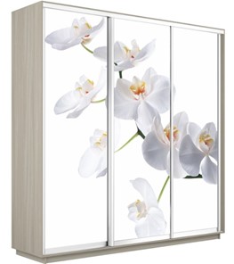 Шкаф 3-х дверный Экспресс 2400х600х2200, Орхидея белая/шимо светлый в Рязани