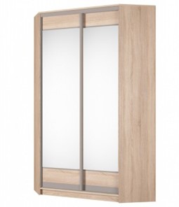 Угловой шкаф Аларти (YA-230х1250(602) (2) Вар. 5; двери D2+D2), с зеркалом в Рязани
