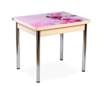 Кухонный пристенный стол СПА-01 СТФ, молочный дуб/фотопечать орхидея/опоры прямые хром в Рязани