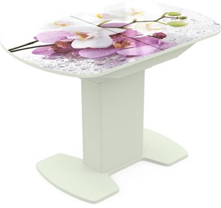 Кухонный раздвижной стол Корсика исп. 1 Фотопечать (Цветы №44) 1100(1415)*700 в Рязани