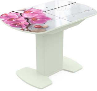 Кухонный раскладной стол Корсика исп. 2 Фотопечать (Цветы №24) 1200(1515)*800 в Рязани