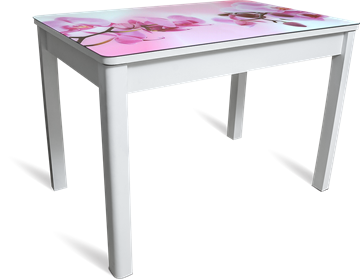 Кухонный раскладной стол Айсберг мини СТФ, белое лдсп/орхидея/40 прямые массив белые в Рязани