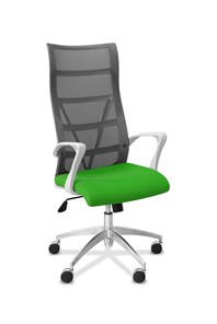Офисное кресло для руководителя Топ X белый каркас, сетка/ткань TW / серая/салатовая в Рязани