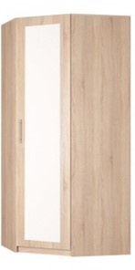 Угловой распашной шкаф Реал (YR-230х1034 (3)-М Вар.1), с зеркалом в Рязани - предосмотр