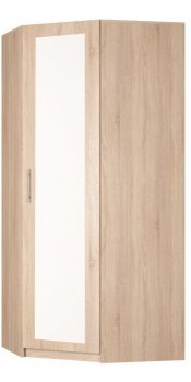 Угловой распашной шкаф Реал (YR-230х1034 (3)-М Вар.1), с зеркалом в Рязани - изображение