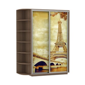 Шкаф 2-х дверный Экспресс 1700x600x2200, со стеллажом, Париж/шимо темный в Рязани