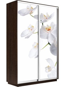 Шкаф 2-х дверный Экспресс 1400x600x2400, Орхидея белая/венге в Рязани
