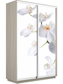 Шкаф-купе двухдверный Экспресс 1600x450x2200, Орхидея белая/шимо светлый в Рязани