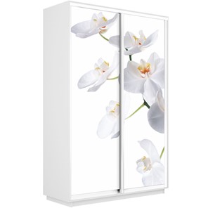 Шкаф 2-створчатый Экспресс 1600x450x2400, Орхидея белая/белый снег в Рязани