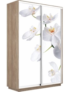 Шкаф двухдверный Экспресс 1600x450x2400, Орхидея белая/дуб сонома в Рязани
