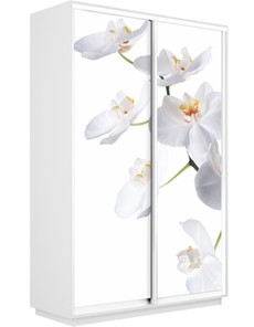 Шкаф-купе 2-х дверный Экспресс 1600x600x2200, Орхидея белая/белый снег в Рязани