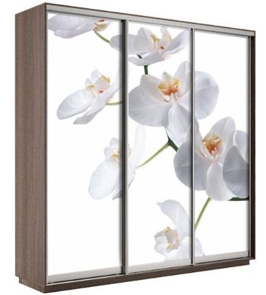Шкаф 3-створчатый Экспресс 1800х600х2200, Орхидея бела/шимо темный в Рязани - изображение