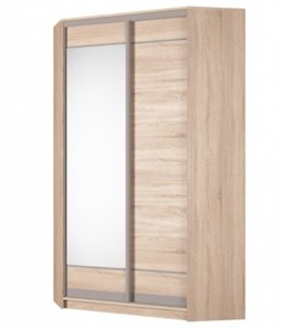 Угловой шкаф Аларти (YA-230х1250(602) (2) Вар. 4; двери D1+D2), с зеркалом в Рязани - предосмотр
