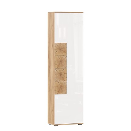 Шкаф одностворчатый Фиджи, 659300, белый/дуб золотой в Рязани - изображение