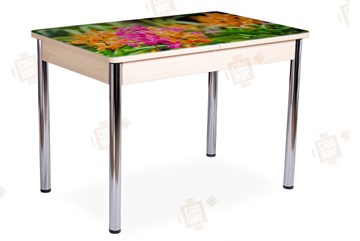 Кухонный стол раздвижной Айсберг-02 СТФ, Дуб ЛДСП/полевые цветы/ноги хром прямые в Рязани