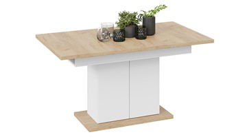 Кухонный раздвижной стол Детройт тип 1 (Белый/Дуб Крафт золотой) в Рязани