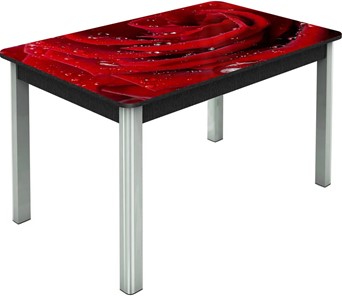 Раздвижной стол Гамбург исп. Мини, ноги метал. крашеные №23, Фотопечать (Цветы №39) в Рязани