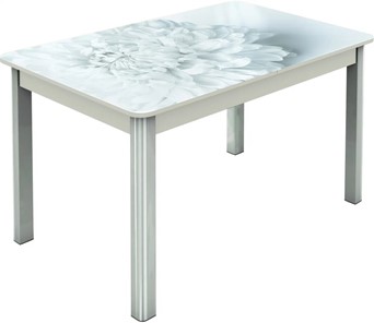 Кухонный стол раскладной Гамбург исп.2 ноги метал. крашеные №23, Фотопечать (Цветы №27) в Рязани