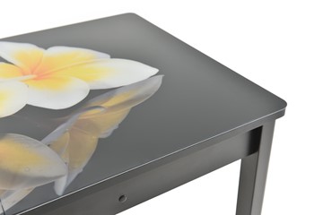 Кухонный раздвижной стол Гамбург Мини, ноги метал. крашеные №23 (Exclusive h140/черный) в Рязани - предосмотр 10