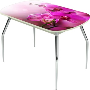 Кухонный стол раздвижной Ривьера исп.1 ноги метал. крашеные №24 Фотопечать (Цветы №16) в Рязани