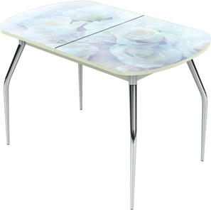 Кухонный раскладной стол Ривьера исп.1 ноги метал. крашеные №24 Фотопечать (Цветы №36) в Рязани