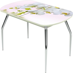 Кухонный раздвижной стол Ривьера исп.1 ноги метал. крашеные №24 Фотопечать (Цветы №7) в Рязани