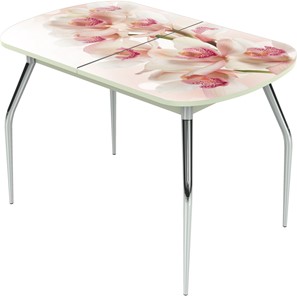 Кухонный раскладной стол Ривьера исп.1 ноги метал. крашеные №24 Фотопечать (Цветы №8) в Рязани