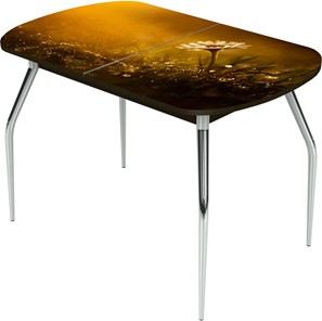 Кухонный стол раздвижной Ривьера исп.2 ноги метал. крашеные №24 Фотопечать (Цветы №43) в Рязани