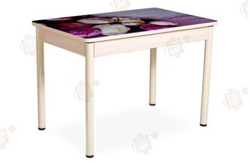 Кухонный стол раздвижной Айсберг-01 СТФ, дуб/фотопечать пионы/ноги крашеные в Рязани