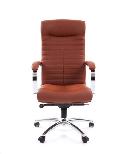 Кресло офисное CHAIRMAN 480 Экокожа Terra 111 (коричневая) в Рязани - изображение 1