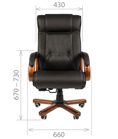 Офисное кресло CHAIRMAN 653 кожа черная в Рязани - изображение 1