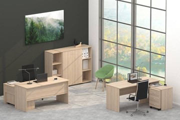 Офисный комплект мебели Twin в Рязани - предосмотр 4
