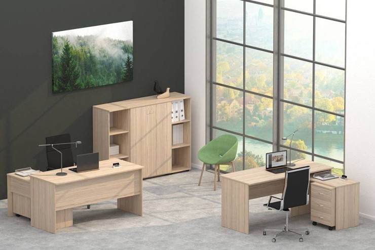Офисный комплект мебели Twin в Рязани - изображение 4