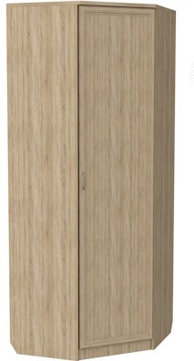 Шкаф распашной 400 угловой, цвет Дуб Сонома в Рязани - изображение