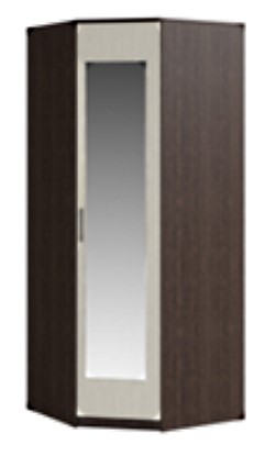 Распашной шкаф угловой Светлана, с зеркалом, венге/дуб молочный в Рязани - изображение