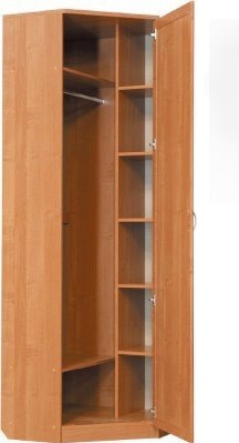 Шкаф распашной 402 угловой со штангой, цвет Дуб Сонома в Рязани - изображение 1