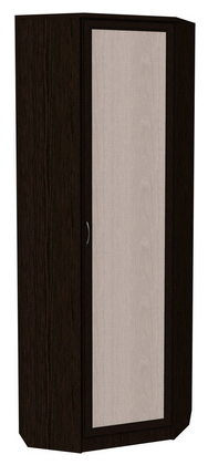 Шкаф 402 угловой со штангой, цвет Венге в Рязани - изображение