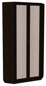 Шкаф 401 угловой со штангой, цвет Венге в Рязани - предосмотр