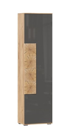 Шкаф одностворчатый Фиджи с декоративными накладками 659.300, Дуб Золотой/Антрацит в Рязани - изображение