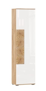 Шкаф одностворчатый Фиджи с декоративными накладками 659.300, Дуб Золотой/Белый в Рязани