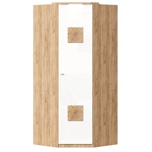 Шкаф угловой 45 с декоративной накладкой Фиджи, 659.248, белый в Рязани - предосмотр