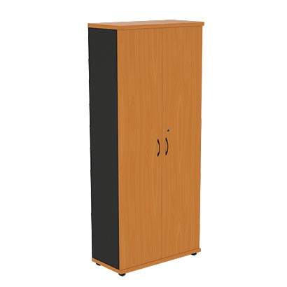 Шкаф 2-створчатый Моно-Люкс R5S05 в Рязани - изображение