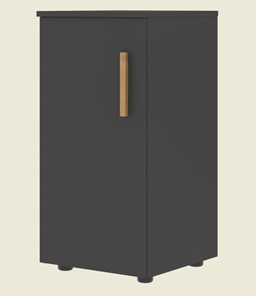 Низкий шкаф колонна с глухой дверью левой FORTA Черный Графит FLC 40.1 (L) (399х404х801) в Рязани