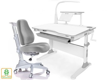 Растущая парта + стул Mealux EVO Evo-30 G (арт. Evo-30 G + Y-528 G) (дерево)/(стол+полка+кресло+чехол+лампа)/ белая столешница (дерево), цвет пластика серый в Рязани